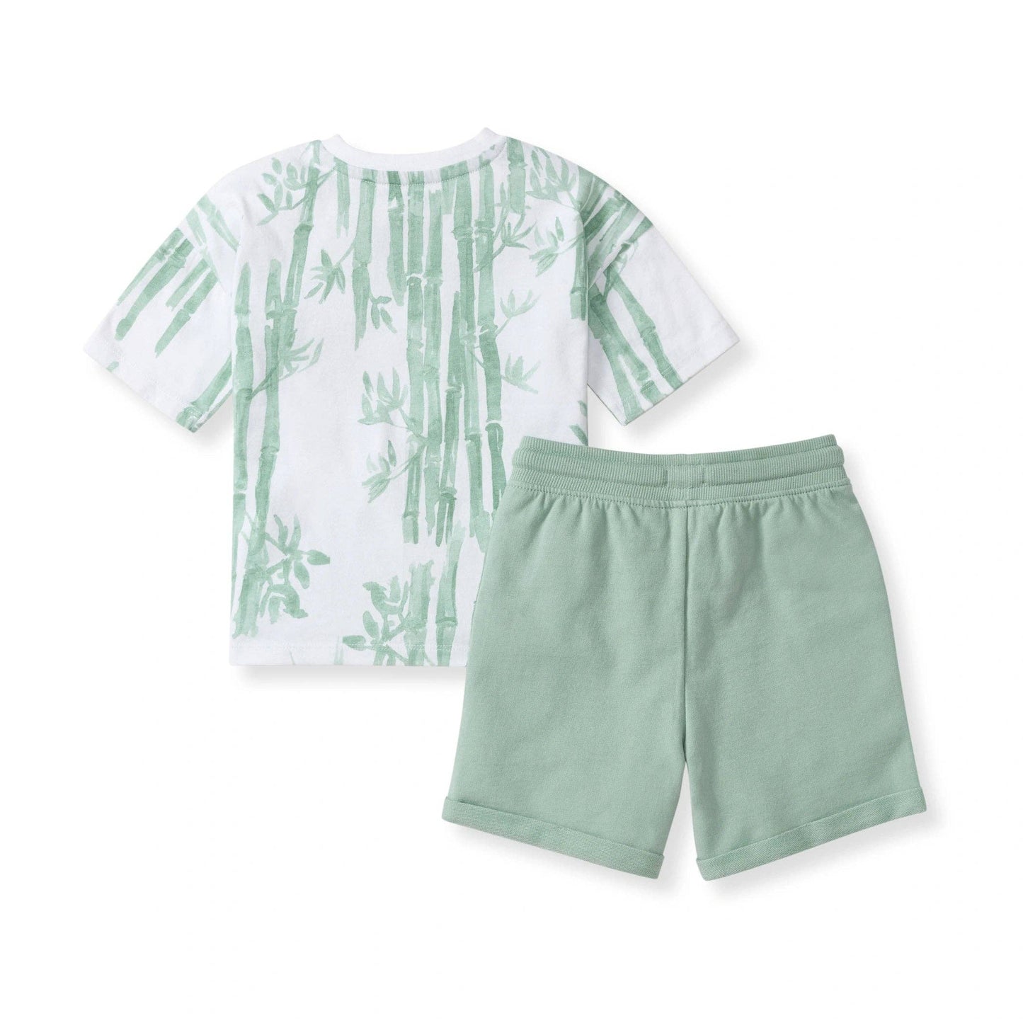 Burt's Bees Baby - Bamboo Forest Tee & Shorts Set: 4T